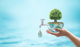 Forest big rain tree arbor planting on blue aqua world on women’s human hand: Water drop running from faucet tap: Saving aqua reforestation conceptual csr esg idea: Element of image furnished by NASA